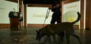 Acusan a agente del ICE en Minnesota por herir a migrante venezolano
