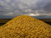 Agricultura impulsa desarrollo del campo mexicano y garantiza alimentos