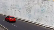 Ajolotes pintados en calles de CDMX desaparecen tras acciones de limpieza