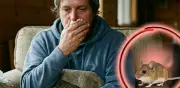 Alerta por hantavirus en México: medidas de prevención clave