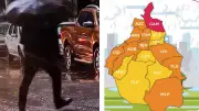 Alerta roja en Gustavo A. Madero por lluvias; vigilan toda la CDMX