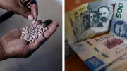 Apoyos de 7,300 a 24,000 pesos para productores en 2026