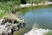 Aseguran limpiar humedal en Zuazua, Nuevo León