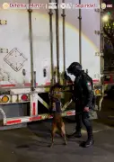 Aseguran mariguana valuada en 15 mdp en CDMX oculta en cajas de huevo