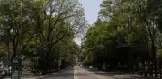 Asfalto eleva hasta 10°C la sensación térmica en CDMX