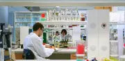 AstraZeneca y OMP: Velocidad de decisión en cadena de suministro