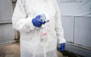 Ébola en África: OMS descarta pandemia pero pide apoyo internacional