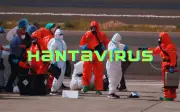Brote de hantavirus en crucero: OMS reporta 11 casos y 3 muertes