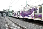 Brugada defiende uso del color morado en la CDMX