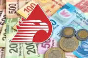 Caen ingresos petroleros y tributarios en primer trimestre