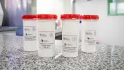Canadá reporta primer posible caso de hantavirus en crucero MV Hondius