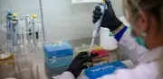 Canadiense del crucero MV Hondius da positivo a hantavirus