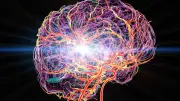 Cerebro sigue procesando lenguaje incluso bajo anestesia general