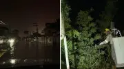 CFE restablece 95% de luz tras lluvias en Hidalgo, SLP, Tamaulipas y Veracruz