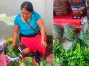 Chonegue: el quelite de Los Tuxtlas que se resiste a desaparecer