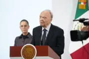 CIDH da 3 meses a México por caso Gertz contra Alejandra Cuevas