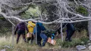 Científicos cazan roedores en Ushuaia por brote de hantavirus en crucero