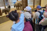 Cierran zoológicos en EU por llamadas terroristas