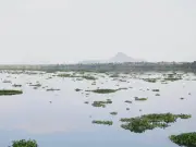 Conagua reporta avances en saneamiento de presa Endhó