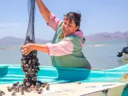 Conapesca y Alianza del Pacífico empoderan a mujeres pesqueras