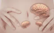 Contraer el abdomen: la 