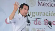 Critican a Mario Delgado por llamar 