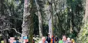 Cuajimalpa colabora con Sedema y federación por obras en El Ocotal