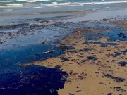 Derrame de hidrocarburos en el Golfo de México: crónica de un desastre ambiental