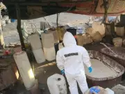 Desmantelan 5 laboratorios de drogas sintéticas en Jalisco, Nayarit y Sinaloa