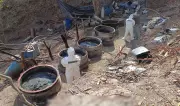 Desmantelan cinco narcolaboratorios en Jalisco, Nayarit y Sinaloa