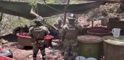 Desmantelan seis narcolaboratorios del CJNG; dos ligados a 'El Jardinero'