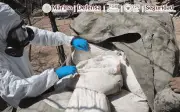 Desmantelan tres laboratorios clandestinos en Sinaloa; suman seis en una semana
