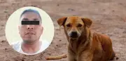 Detienen a sujeto por quemar vivo al perro de su expareja en CDMX