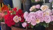 ¿Dónde comprar flores baratas para el Día de las Madres en CDMX? Precios y consejos