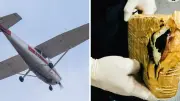 Ejército asegura avioneta con 636 kg de cocaína en Tabasco