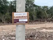 Empresa avícola CRÍO retoma obras pese a suspensión judicial en Yucatán