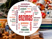Enzimas: el superpoder invisible que impulsa la vida y la industria