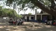 Escuela en Juchitán da clases bajo un árbol por calor extremo