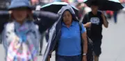 Estrés térmico acumulativo: cómo afecta el calor en México