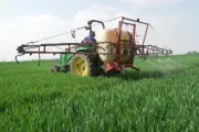 Fertilizantes impactan más a México que a EU: análisis