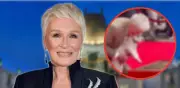 Glenn Close inmortaliza huellas de su perro Pip en el Teatro Chino de Hollywood