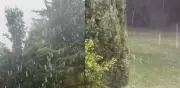 Granizada sorprende a Tlalpan en plena ola de calor en CDMX