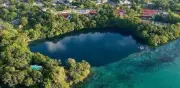 Greenpeace celebra rechazo de Semarnat a proyecto turístico en Mahahual