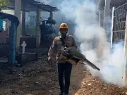 Guerrero suma 4 semanas sin dengue; solo 14 casos en 2026