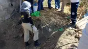 Hallan más restos en fosa de El Salto; suman 61 bolsas