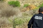 Hallan restos humanos en la carretera 57 en Querétaro