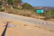 Hallan seis cuerpos desmembrados en Copalillo, Guerrero
