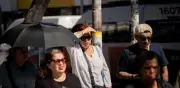 IMSS instala Comando Onda de Calor para enfrentar altas temperaturas