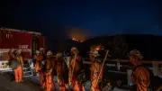 Incendio forestal en Los Ángeles: 29 mil evacuados y una vivienda destruida