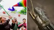 Indignante: rompen piñatas con iguanas vivas en Yucatán